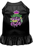 Load image into Gallery viewer, Pet Dress "Laissez Les Bons Temps Rouler"