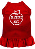 Load image into Gallery viewer, Pet Dress "Teacher's Pet"