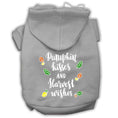 Load image into Gallery viewer, Pet, Dog and Cat Hoodie Screen Printed, "Pumpkin Kisses & Harvest Wishes"