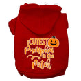 Load image into Gallery viewer, Halloween Pet Hoodie "Cutest Pumpkin In The Patch"