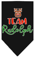 Load image into Gallery viewer, Christmas Pet and Dog Bandana Screen Printed, "Team Rudolph"