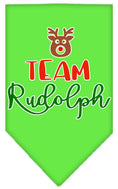 Load image into Gallery viewer, Christmas Pet and Dog Bandana Screen Printed, "Team Rudolph"
