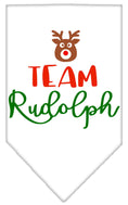 Load image into Gallery viewer, Christmas Pet and Dog Bandana Screen Printed, "Team Rudolph"