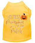 Load image into Gallery viewer, Halloween Pet Dog & Cat Shirt Screen Printed, "Cutest Pumpkin In The Patch"