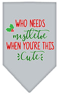 Load image into Gallery viewer, Christmas Pet and Dog Bandana Screen Printed, "Who Needs Mistletoe"