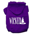 Load image into Gallery viewer, Halloween Pet Hoodie "Wicked"