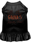 Load image into Gallery viewer, Halloween Pet Dress "All The Ghouls Love Me"
