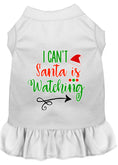 Load image into Gallery viewer, Christmas Pet Dress Screen Printed, "I Can't, Santa Is Watching"