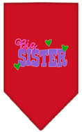 Load image into Gallery viewer, Pet and Dog Bandana Screen Printed, "Big Sister"