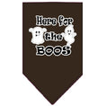 Load image into Gallery viewer, Halloween Pet and Dog Bandana Screen Printed, "Here For The Boos"