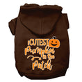 Load image into Gallery viewer, Halloween Pet Hoodie "Cutest Pumpkin In The Patch"