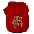 Load image into Gallery viewer, Christmas Pet Hoodie "I Can't, Santa Is Watching"