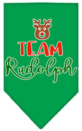 Load image into Gallery viewer, Christmas Pet and Dog Bandana Screen Printed, "Team Rudolph"