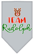 Load image into Gallery viewer, Christmas Pet and Dog Bandana Screen Printed, "Team Rudolph"