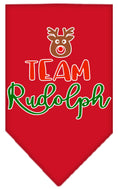 Load image into Gallery viewer, Christmas Pet and Dog Bandana Screen Printed, "Team Rudolph"