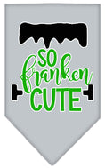 Load image into Gallery viewer, Halloween Pet and Dog Bandana Screen Printed, "So Franken Cute"
