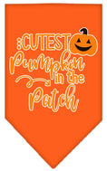 Load image into Gallery viewer, Halloween Pet and Dog Bandana Screen Printed, "Cutest Pumpkin In The Patch"