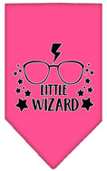 Load image into Gallery viewer, Pet and Dog Bandana Screen Printed, "Little Wizard"