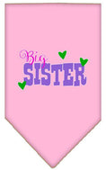 Load image into Gallery viewer, Pet and Dog Bandana Screen Printed, "Big Sister"