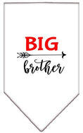 Load image into Gallery viewer, Pet and Dog Bandana Screen Printed, "Big Brother"