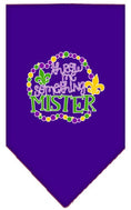 Load image into Gallery viewer, Pet and Dog Bandana Screen Printed, "Throw Me Something Mister"