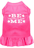 Load image into Gallery viewer, Pet Dress "Be Thankful For Me"