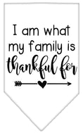 Load image into Gallery viewer, Pet and Dog Bandana Screen Printed, "I Am What My Family Is Thankful For"