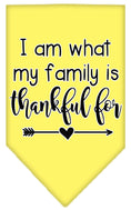 Load image into Gallery viewer, Pet and Dog Bandana Screen Printed, "I Am What My Family Is Thankful For"