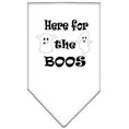 Load image into Gallery viewer, Halloween Pet and Dog Bandana Screen Printed, "Here For The Boos"