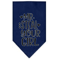 Load image into Gallery viewer, Pet and Dog Bandana Screen Printed, "Mr. Steal Your Girl"
