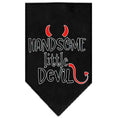 Load image into Gallery viewer, Pet and Dog Bandana Screen Printed, "Handsome Little Devil"