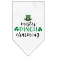 Load image into Gallery viewer, Pet and Dog Bandana Screen Printed, "Mr. Pinch Charming"