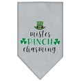Load image into Gallery viewer, Pet and Dog Bandana Screen Printed, "Mr. Pinch Charming"