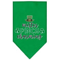 Load image into Gallery viewer, Pet and Dog Bandana Screen Printed, "Mr. Pinch Charming"