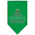 Load image into Gallery viewer, Pet and Dog Bandana Screen Printed, "Mr. Pinch Charming"