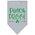 Load image into Gallery viewer, Pet and Dog Bandana Screen Printed, "Pinch Proof"