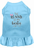 Load image into Gallery viewer, Pet Dress "The Bunny Is My Bestie"