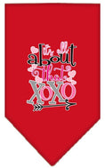 Load image into Gallery viewer, Pet and Dog Bandana Screen Printed, "It's All About That XOXO"