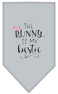 Load image into Gallery viewer, Pet and Dog Bandana Screen Printed, "The Bunny Is My Bestie"