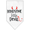 Load image into Gallery viewer, Pet and Dog Bandana Screen Printed, "Handsome Little Devil"