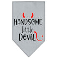 Load image into Gallery viewer, Pet and Dog Bandana Screen Printed, "Handsome Little Devil"