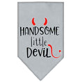 Load image into Gallery viewer, Pet and Dog Bandana Screen Printed, "Handsome Little Devil"