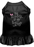 Load image into Gallery viewer, Pet Dress "The Bunny Is My Bestie"
