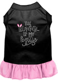Load image into Gallery viewer, Pet Dress "The Bunny Is My Bestie"