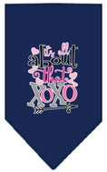 Load image into Gallery viewer, Pet and Dog Bandana Screen Printed, "It's All About That XOXO"