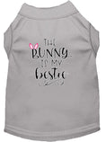 Load image into Gallery viewer, Pet Dog & Cat Shirt Screen Printed, "The Bunny Is My Bestie"