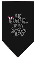 Load image into Gallery viewer, Pet and Dog Bandana Screen Printed, "The Bunny Is My Bestie"