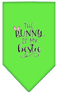 Load image into Gallery viewer, Pet and Dog Bandana Screen Printed, "The Bunny Is My Bestie"