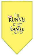 Load image into Gallery viewer, Pet and Dog Bandana Screen Printed, "The Bunny Is My Bestie"