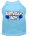 Load image into Gallery viewer, Pet Dog & Cat Shirt Screen Printed, "Birthday Boy"